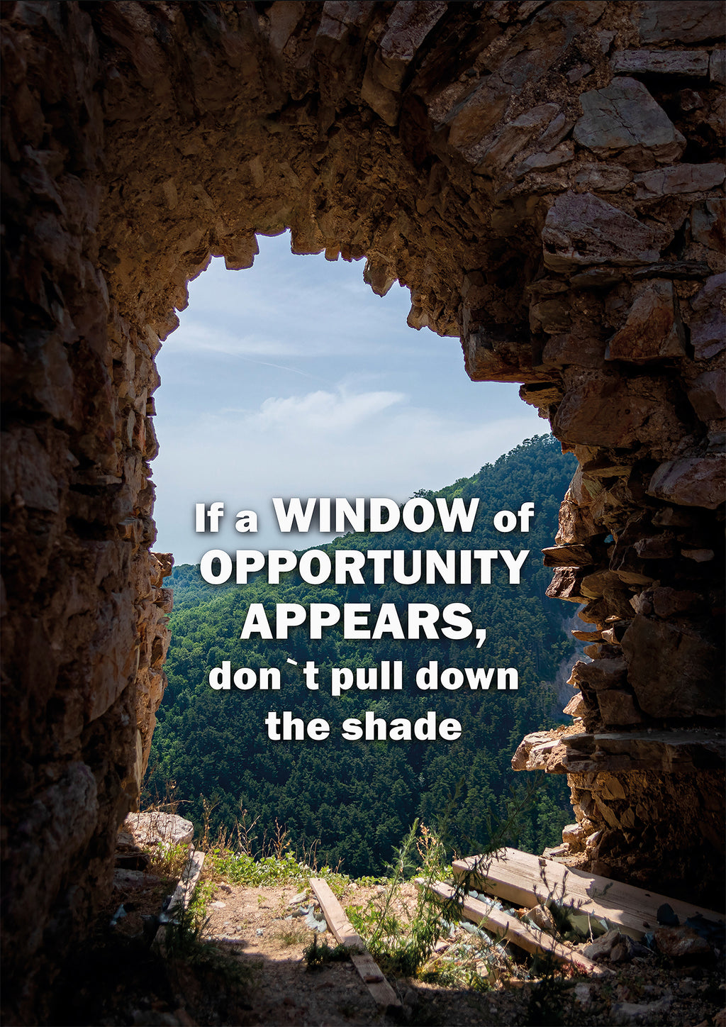 IF A WINDOW OF OPPORTUNITY APPEARS, DON`T PULL DOWN THE SHADE