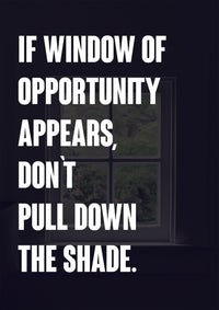 IF A WINDOW OF OPPORTUNITY APPEARS, DON`T PULL DOWN THE SHADE