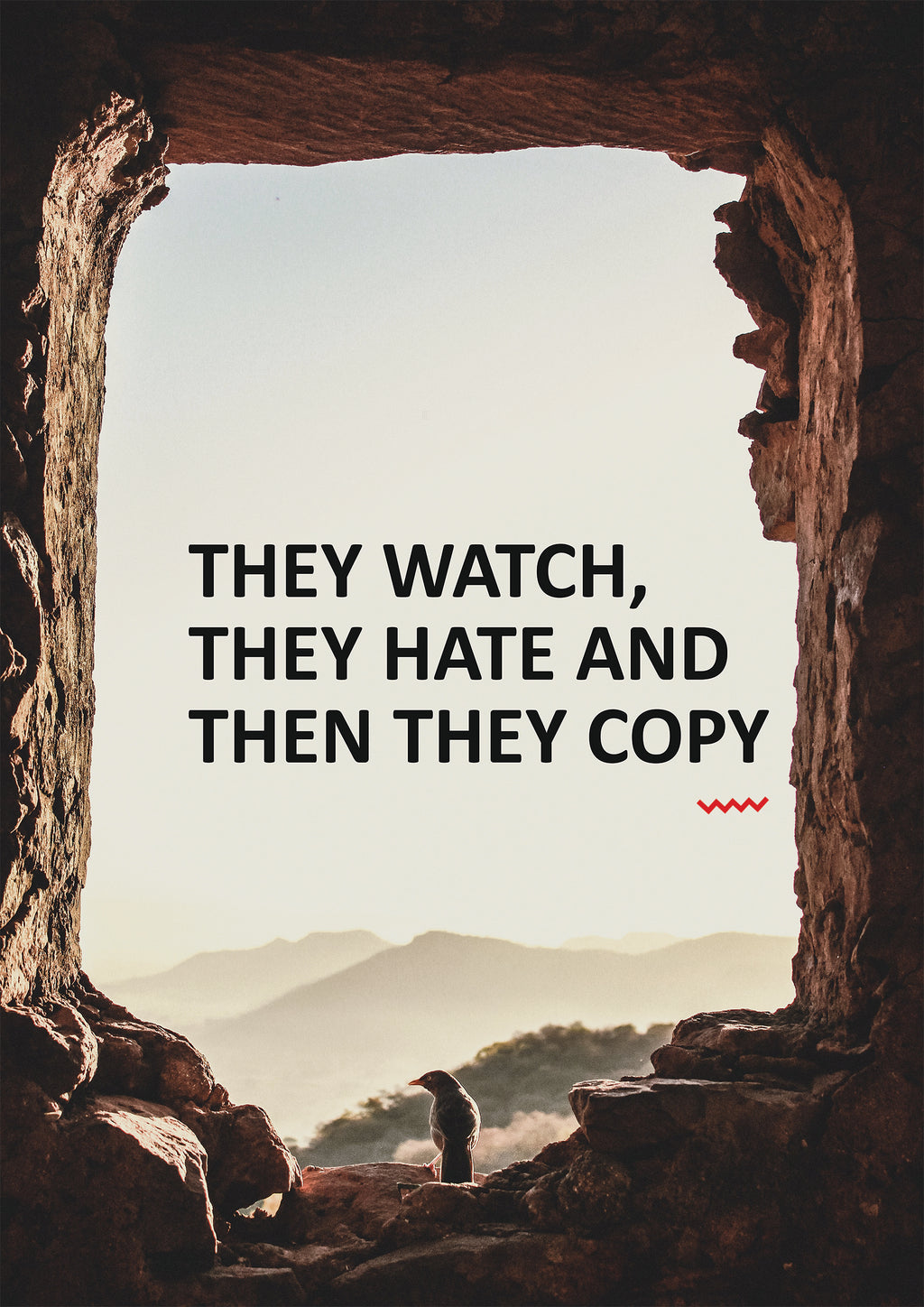 THEY  WATCH, THEY HATE AND THEN THEY COPY