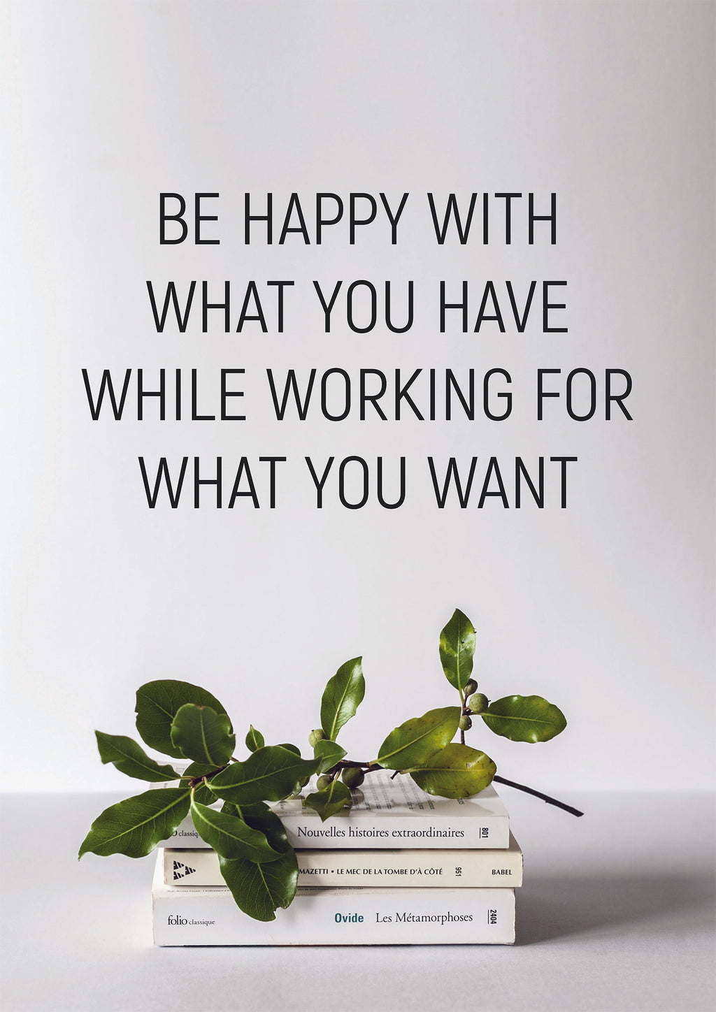 BE HAPPY WITH WHAT YOU HAVE WHILE WORKING FOR WHAT YOU WANT