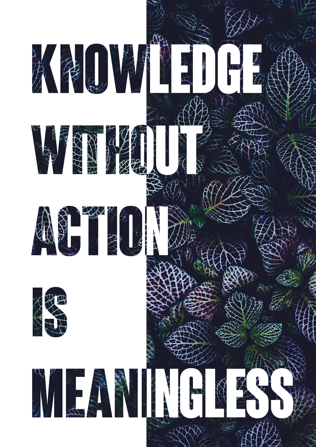 KNOWLEDGE WITHOUT ACTION IS MEANINGLESS