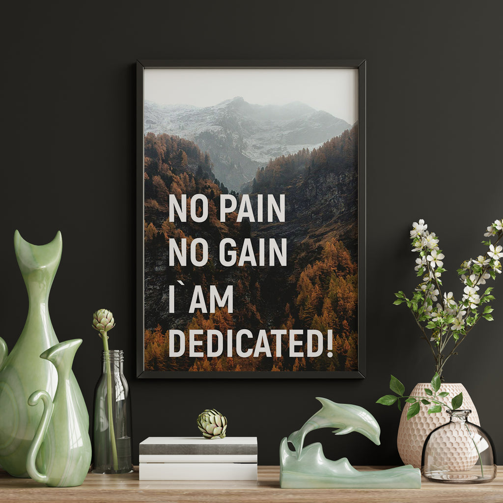 NO PAIN NO GAIN IÀM DEDICATED