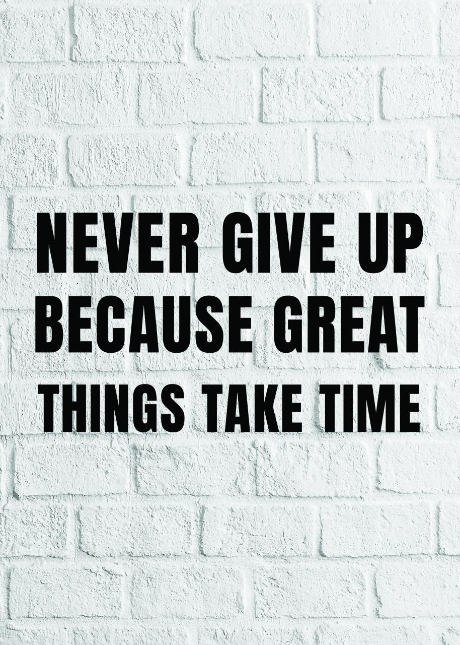 NEVER GIVE UP BECAUSE GREAT THINGS TAKE TIME