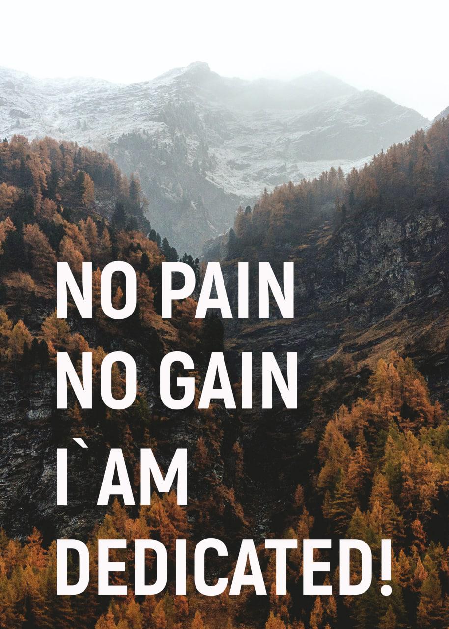 NO PAIN NO GAIN IÀM DEDICATED